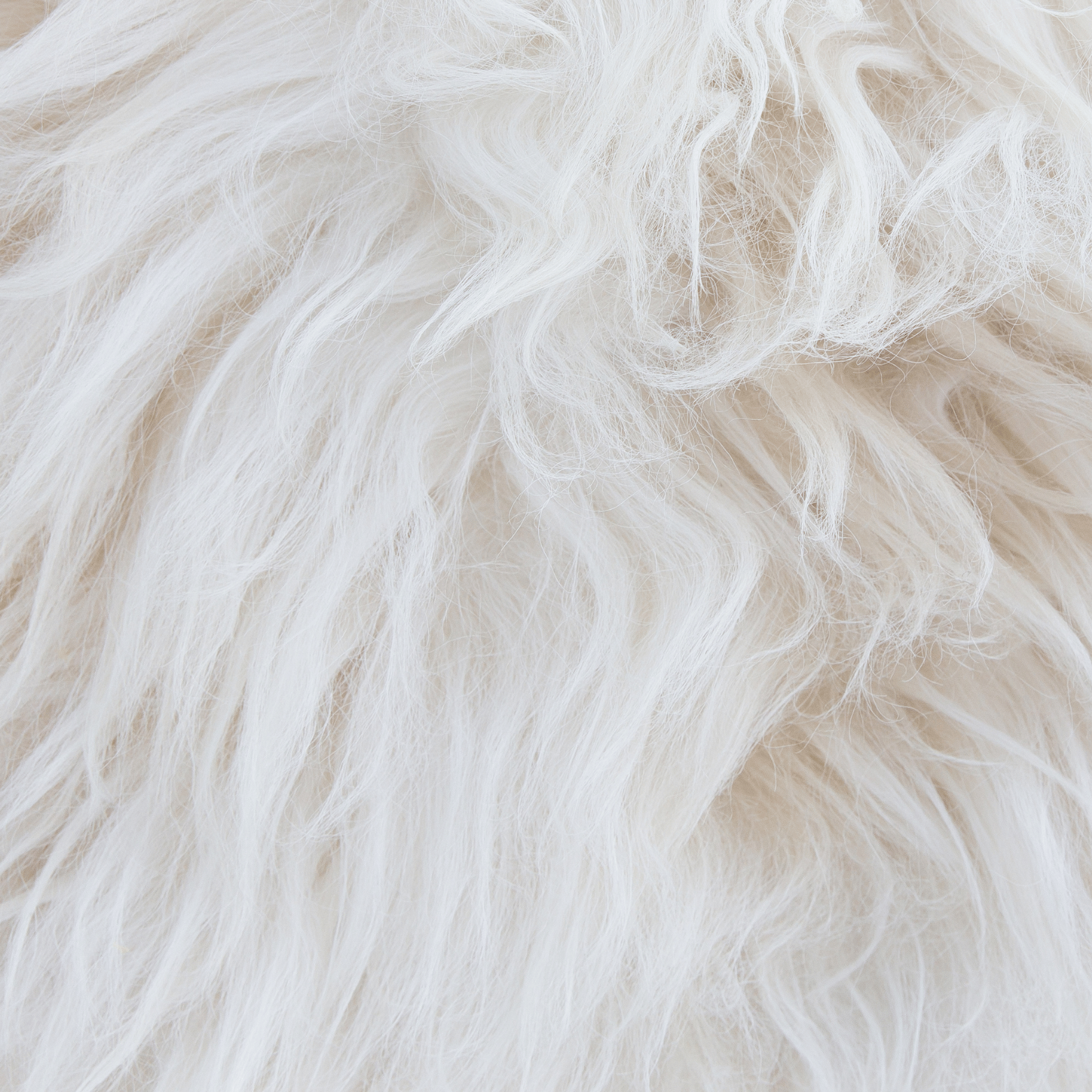 Sheepskin Rug - White